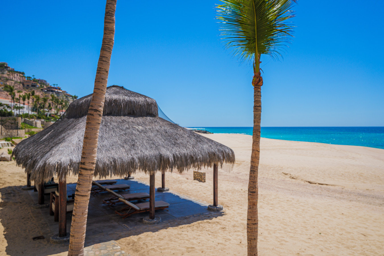 Palmilla Sur Vacation Rental