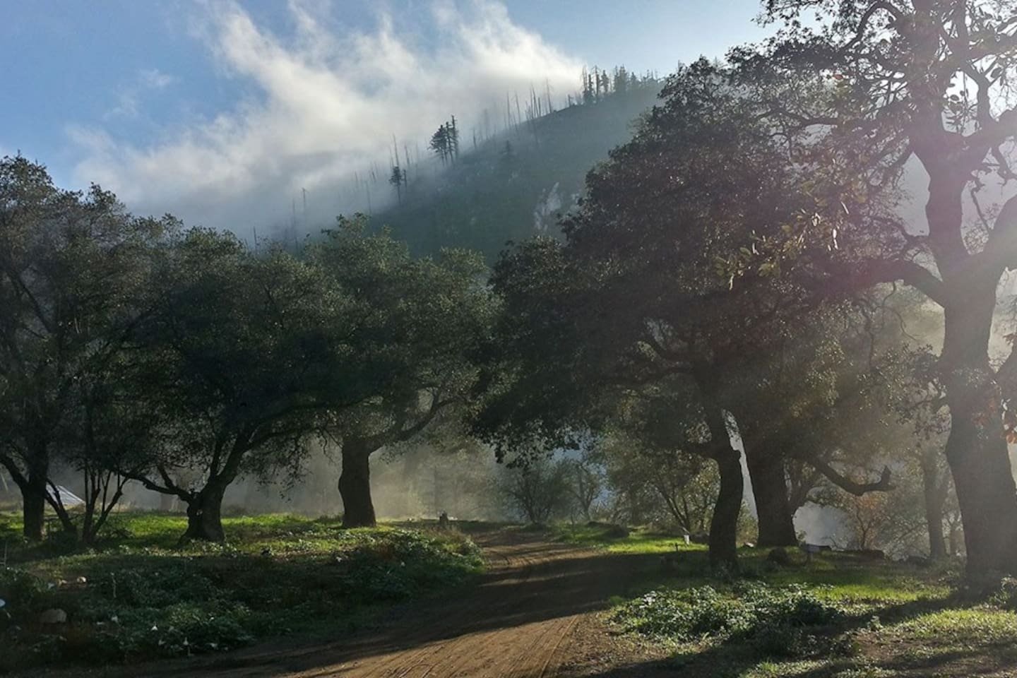 Palomar Mountain Vacation Rental