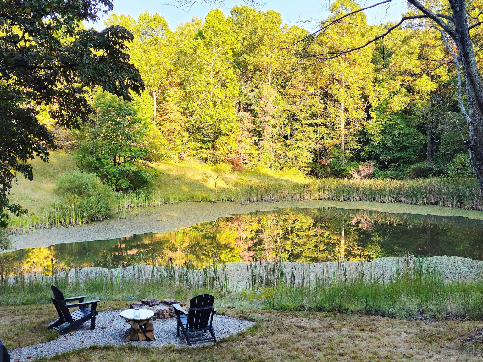 Laurelville Vacation Rental