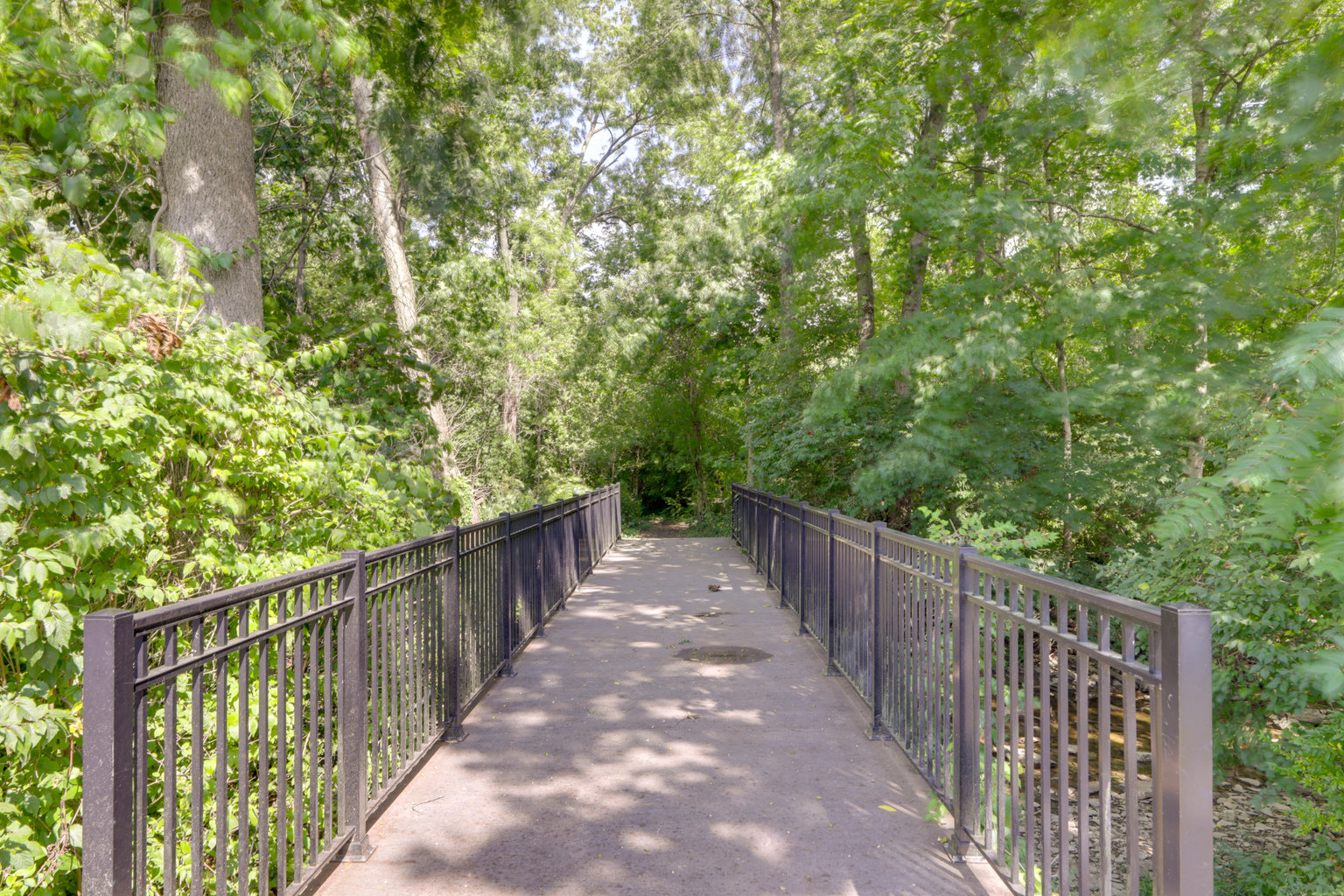 Loveland Vacation Rental