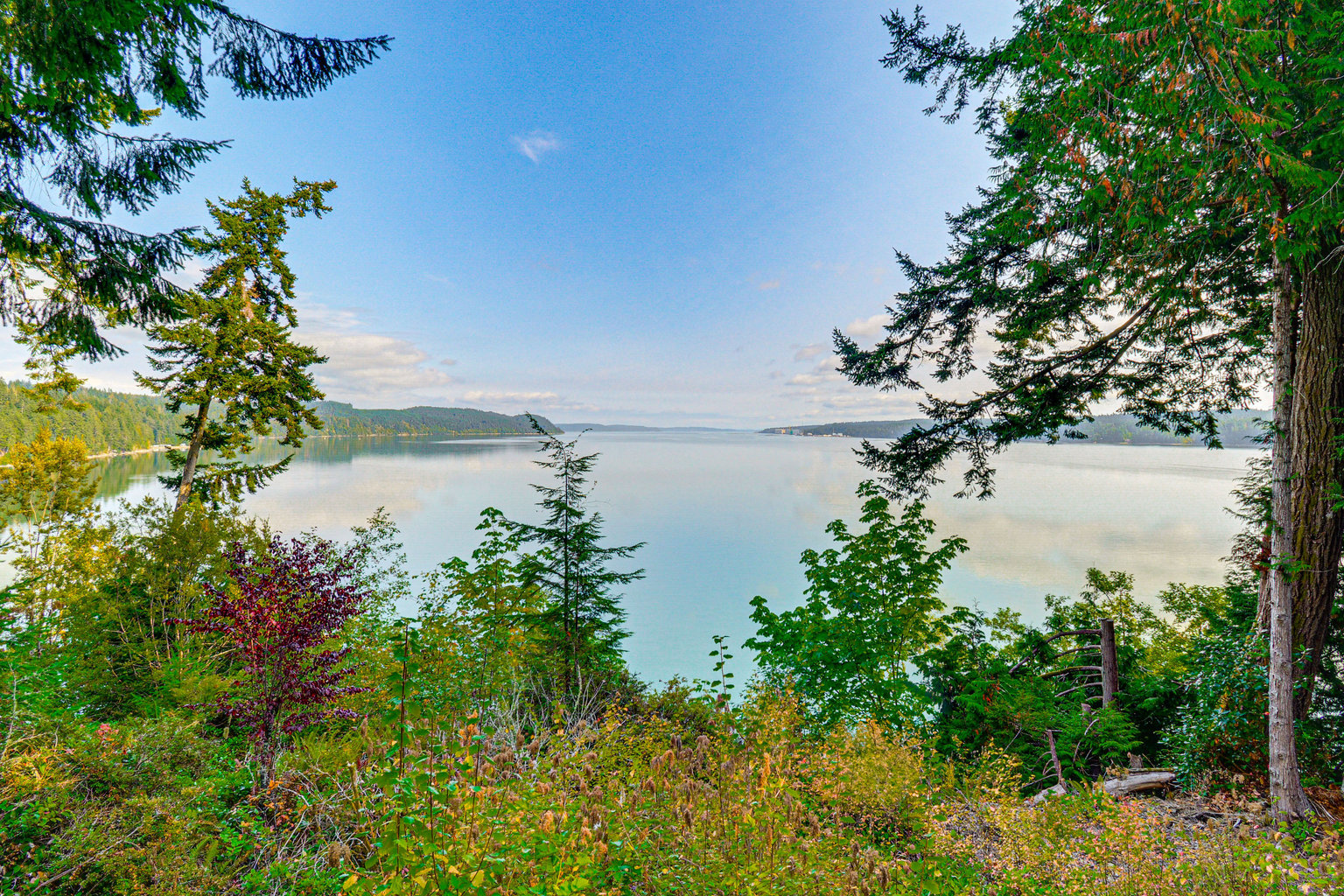 Quilcene Vacation Rental