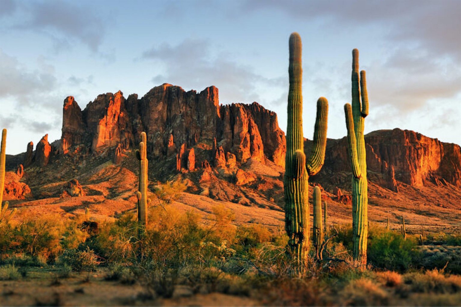 Tempe Vacation Rental