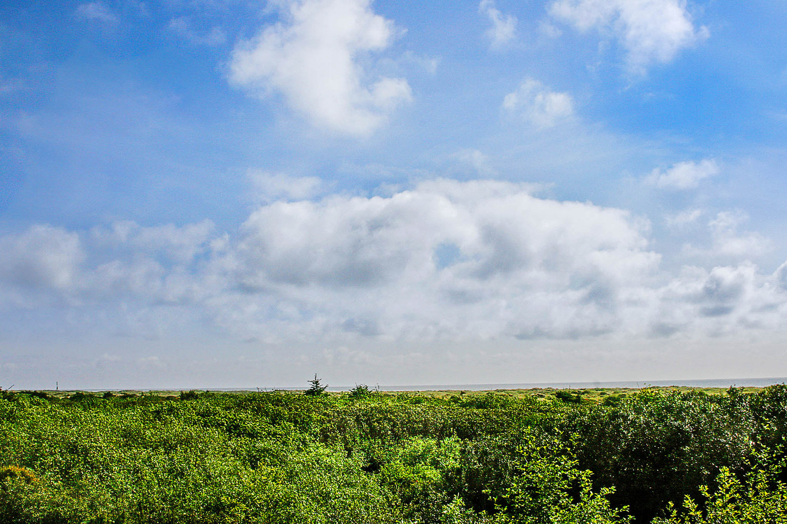 Ocean Shores Vacation Rental