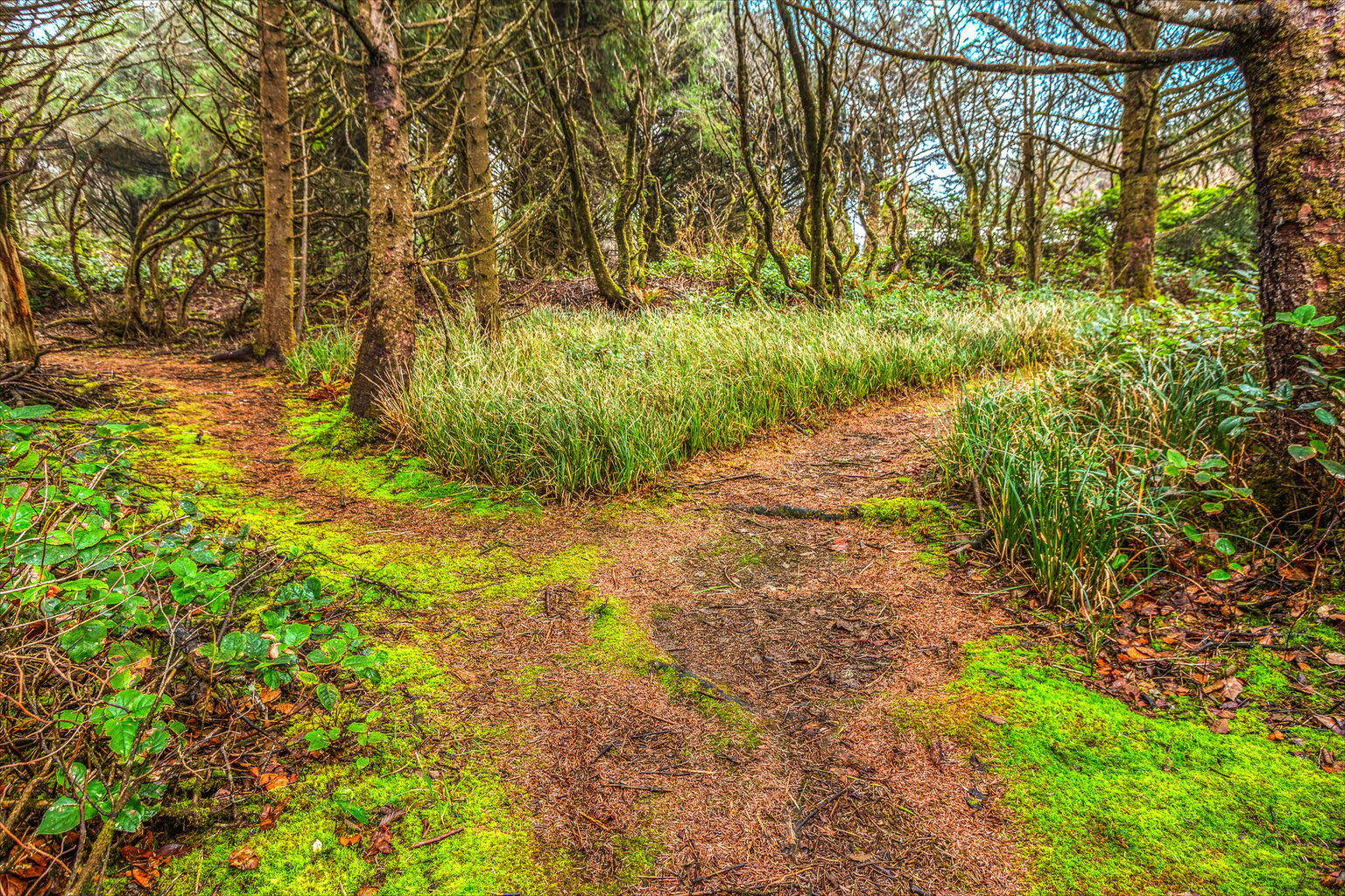 Moclips Vacation Rental