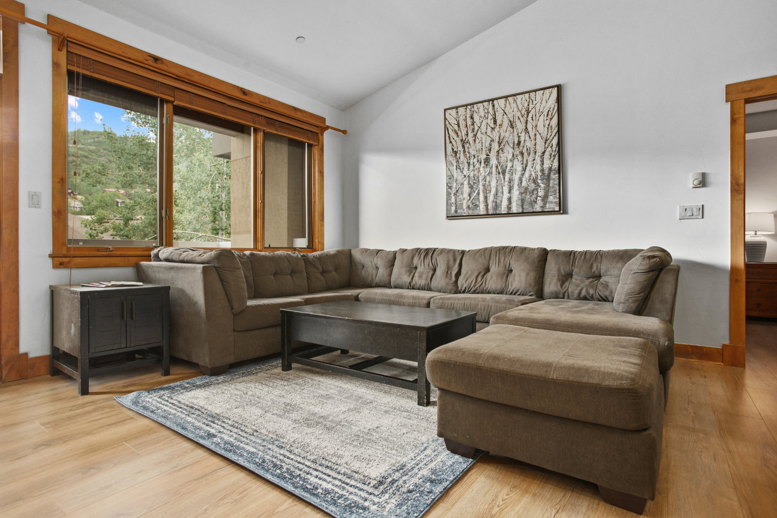 Steamboat Springs Vacation Rental