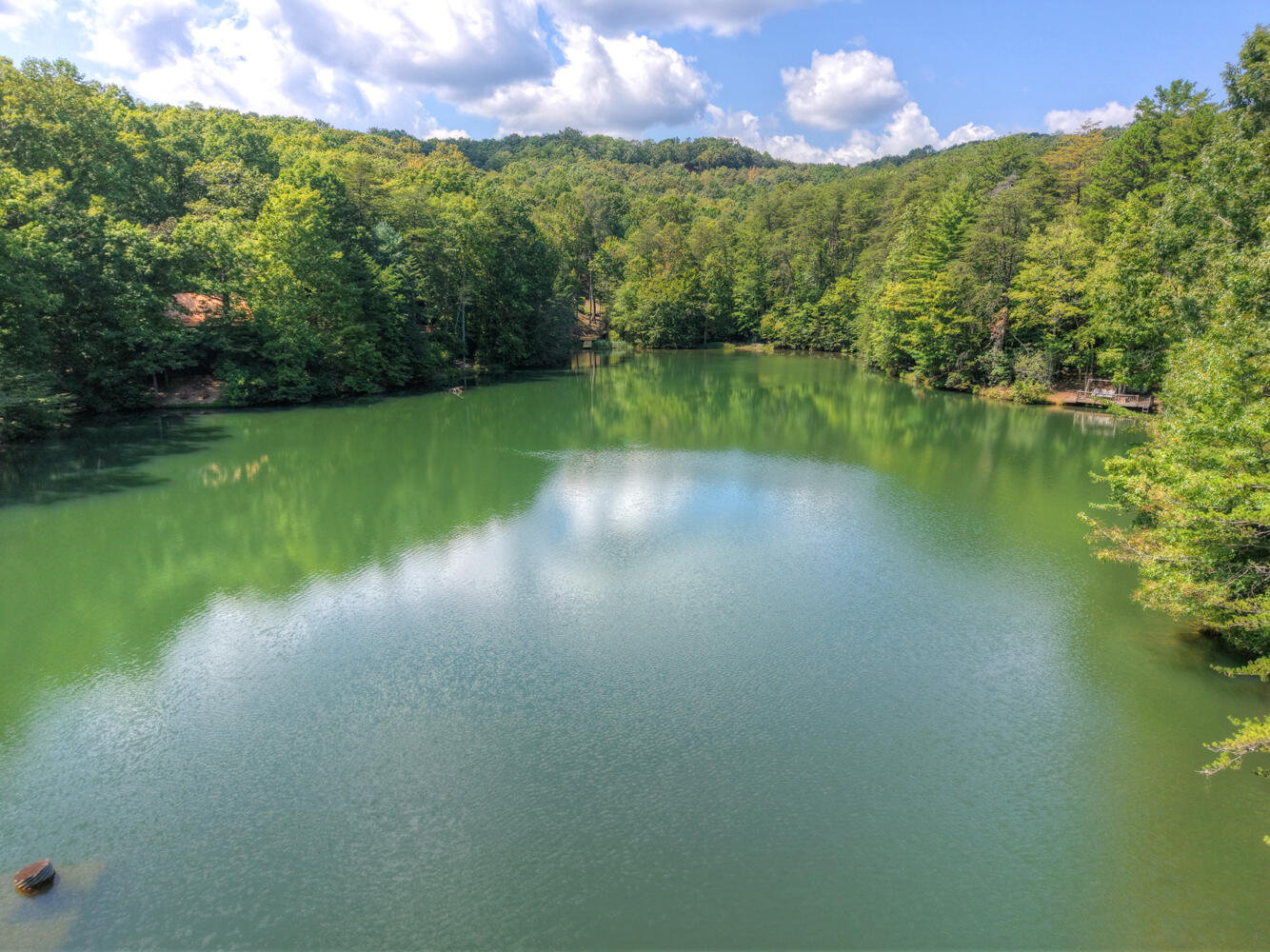 Cherry Log Vacation Rental