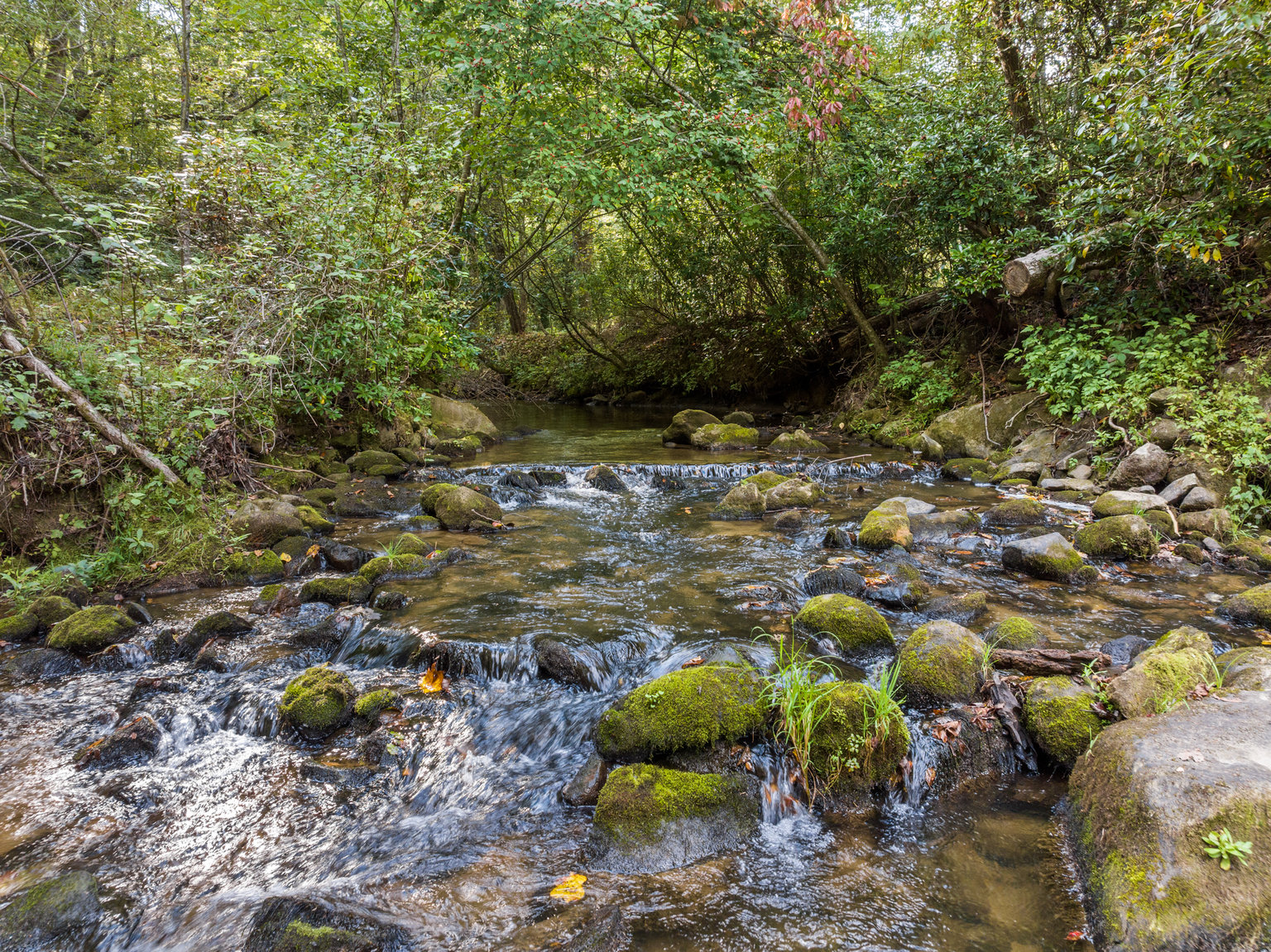 Blue Ridge Vacation Rental
