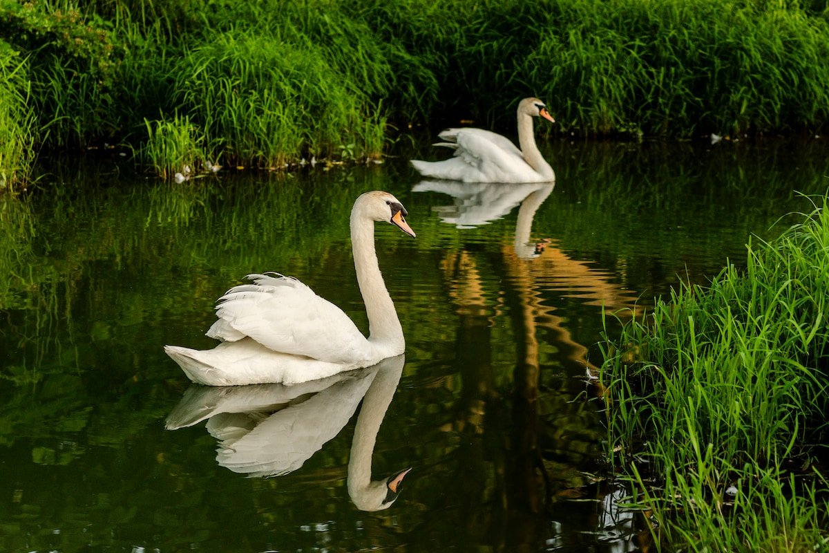 Fredericksburg Vacation Rental