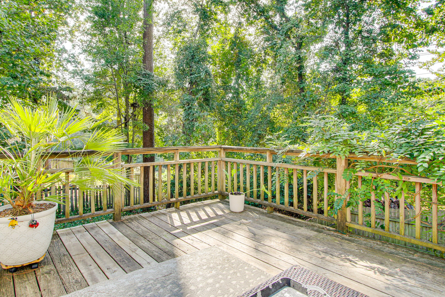 Lexington Vacation Rental