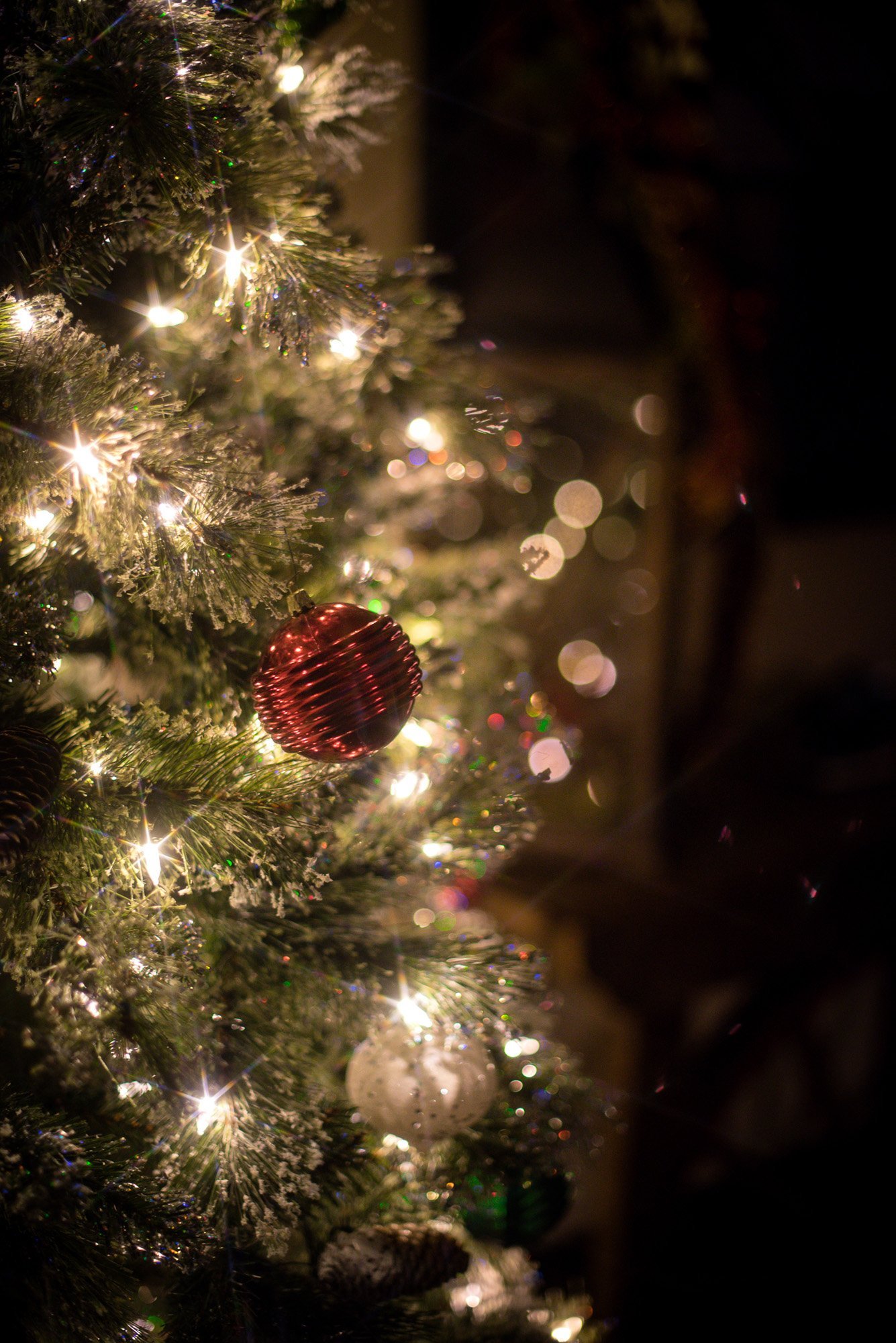 Lampe Vacation Rental