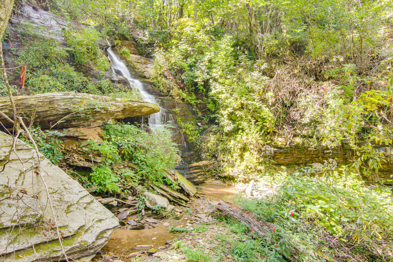 Black Mountain Vacation Rental