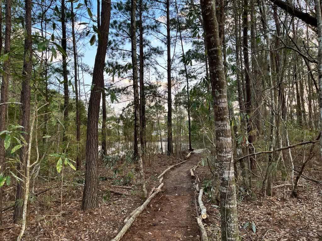 Pooler Vacation Rental