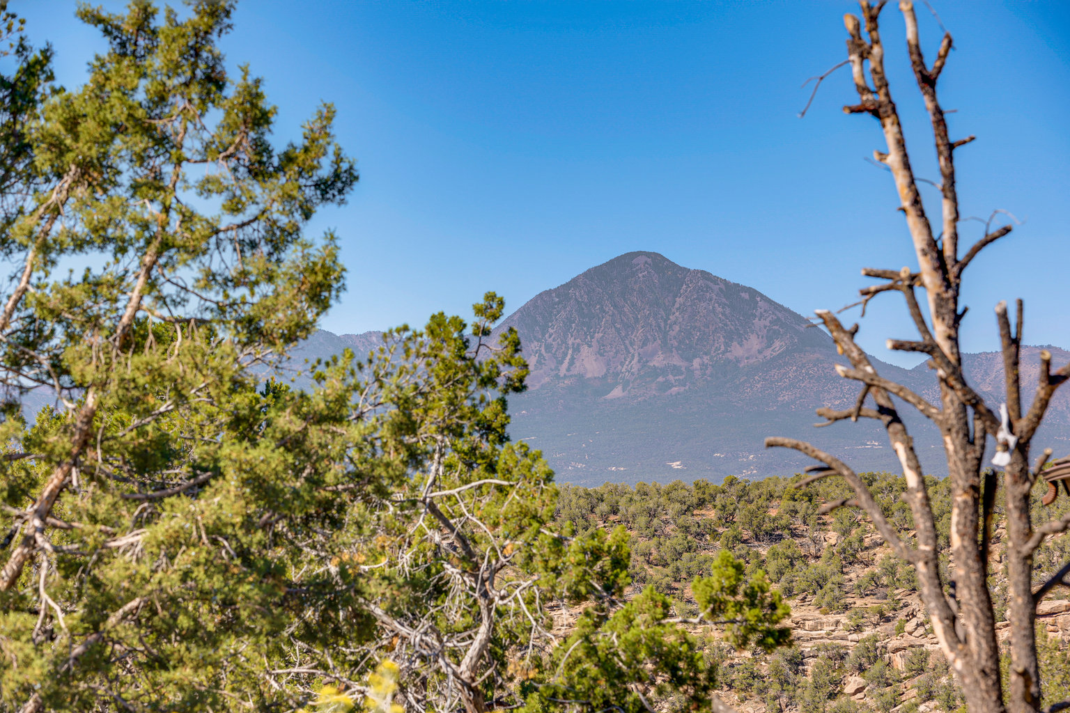 Cortez Vacation Rental