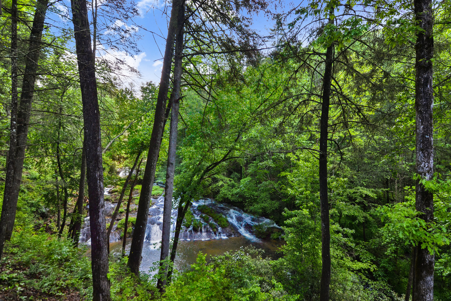 Ellijay Vacation Rental