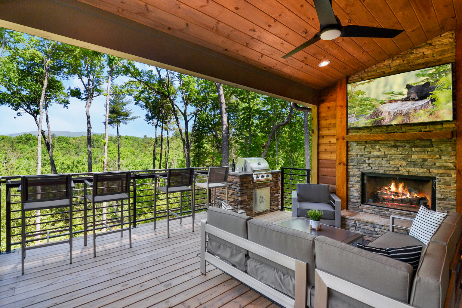 Ellijay Vacation Rental