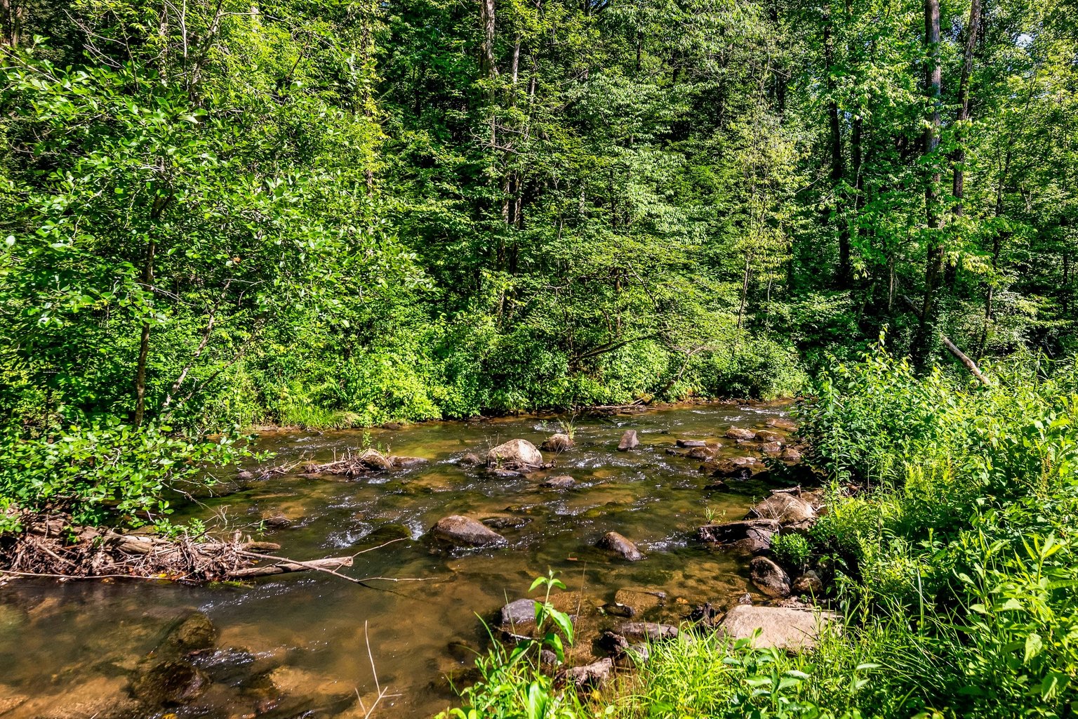 Ellijay Vacation Rental