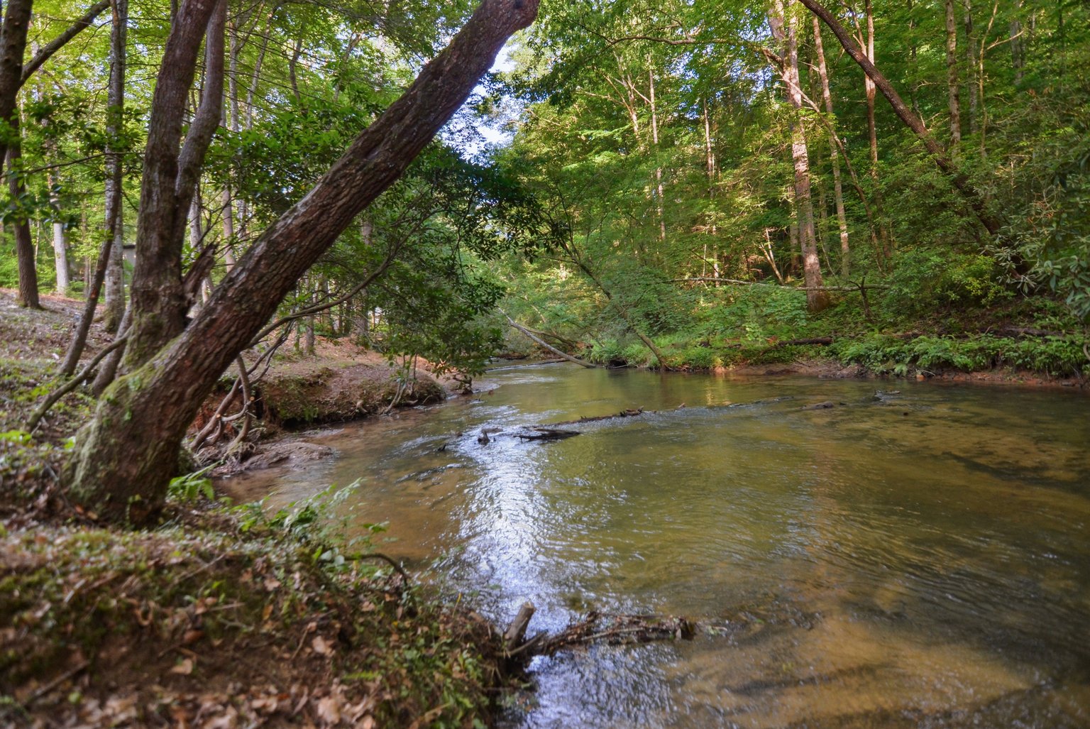 Ellijay Vacation Rental