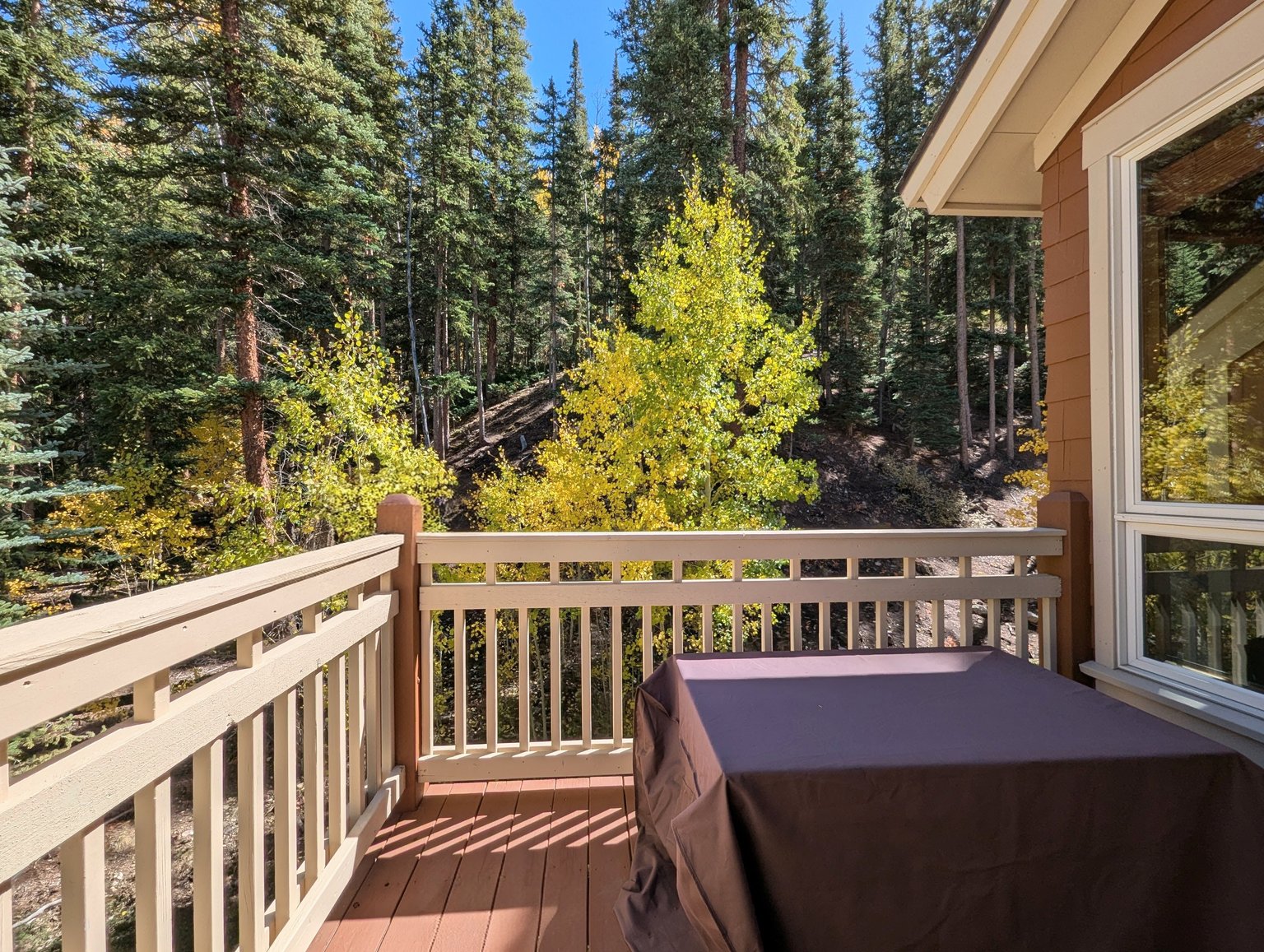 Keystone Vacation Rental