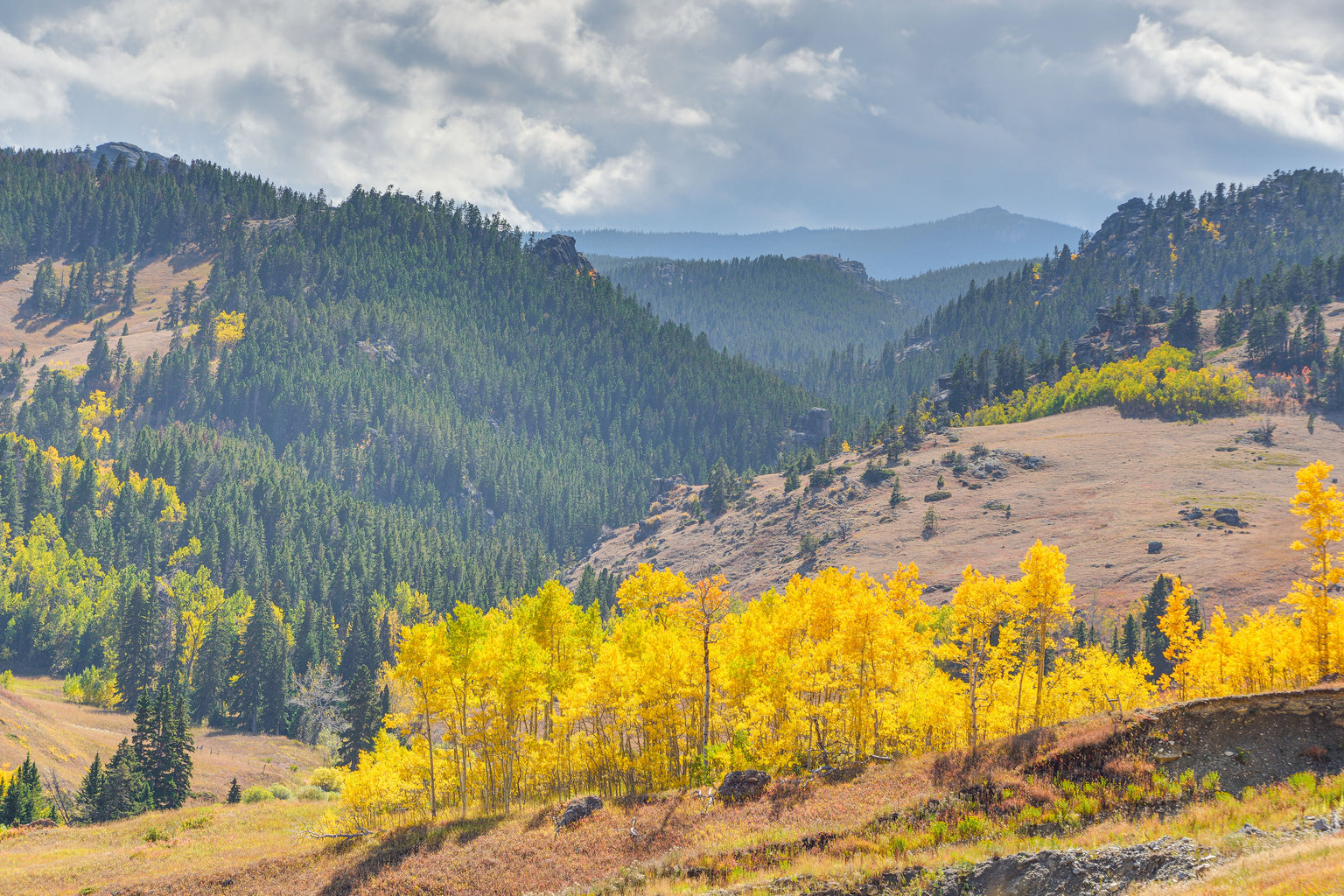 Ranchester Vacation Rental