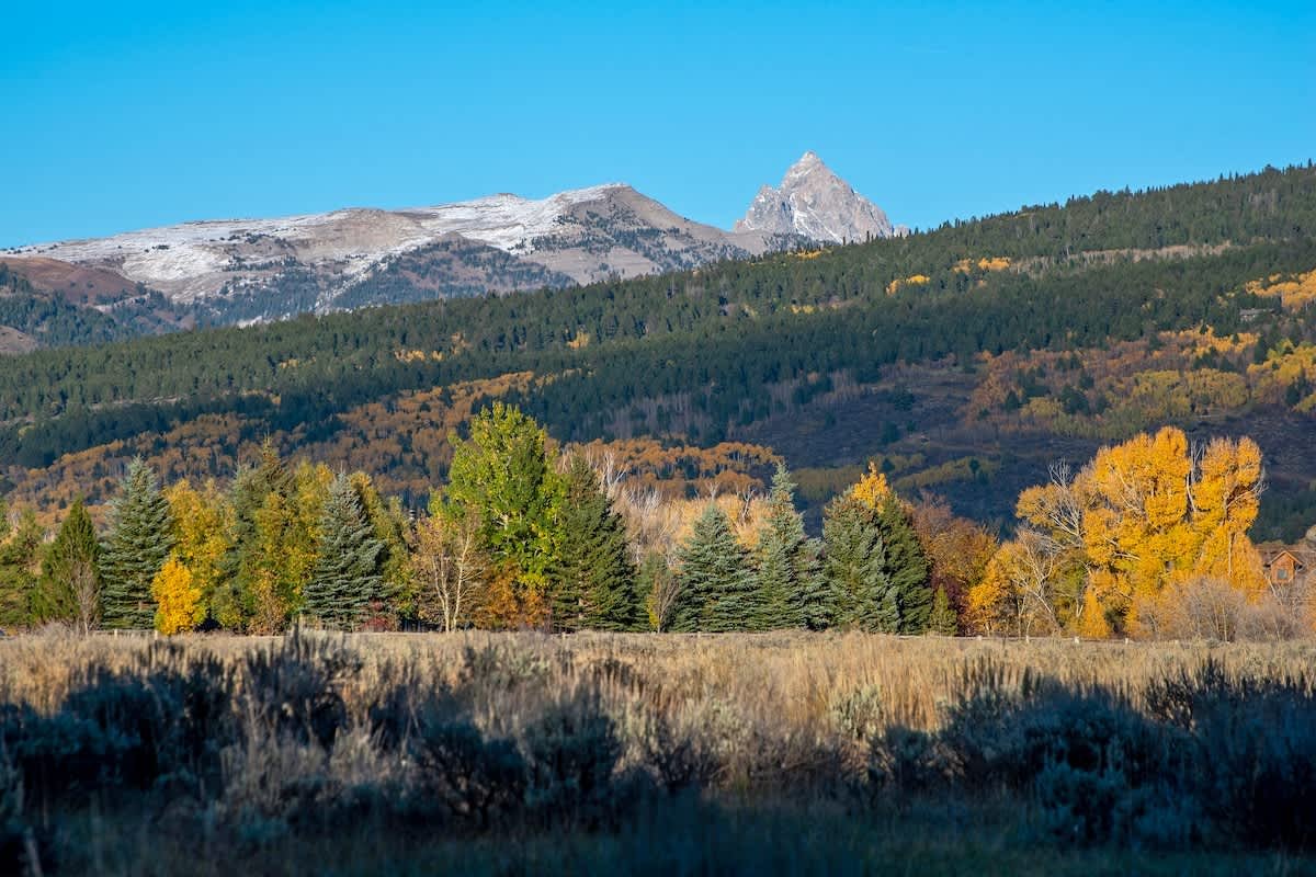 Victor Vacation Rental