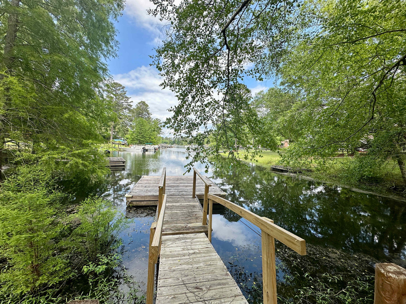 Chapin Vacation Rental