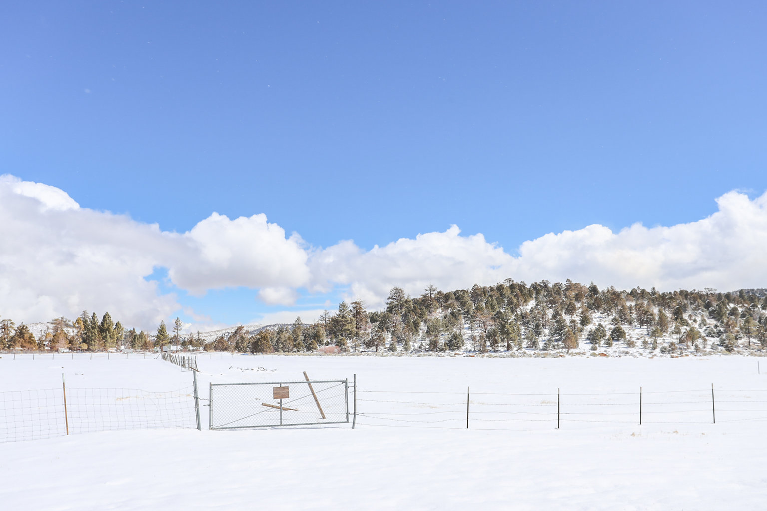 Big Bear City Vacation Rental