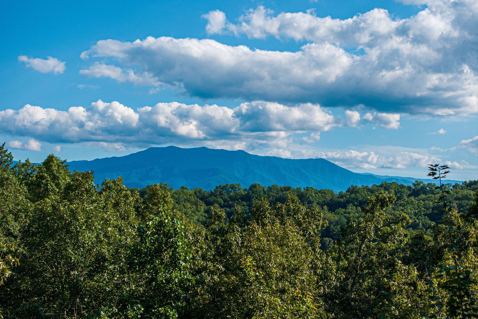 GATLINBURG Vacation Rental