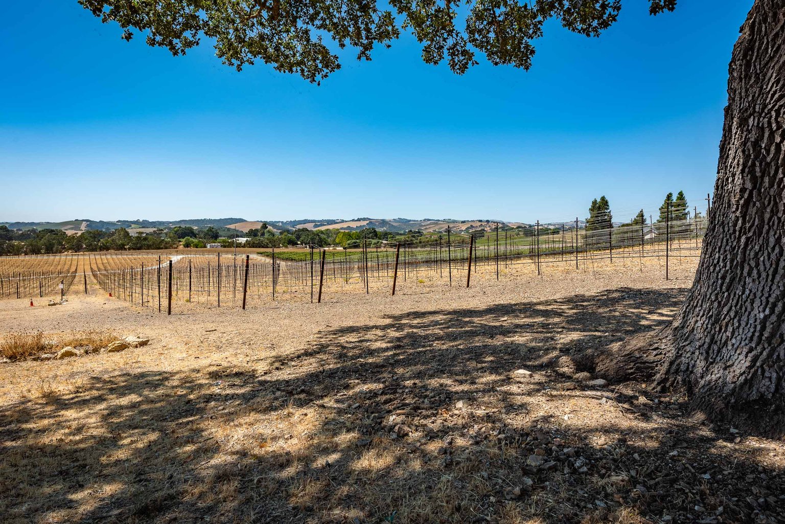 Paso Robles Vacation Rental
