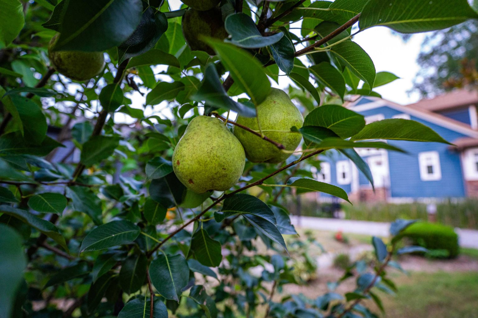 Charlotte Vacation Rental