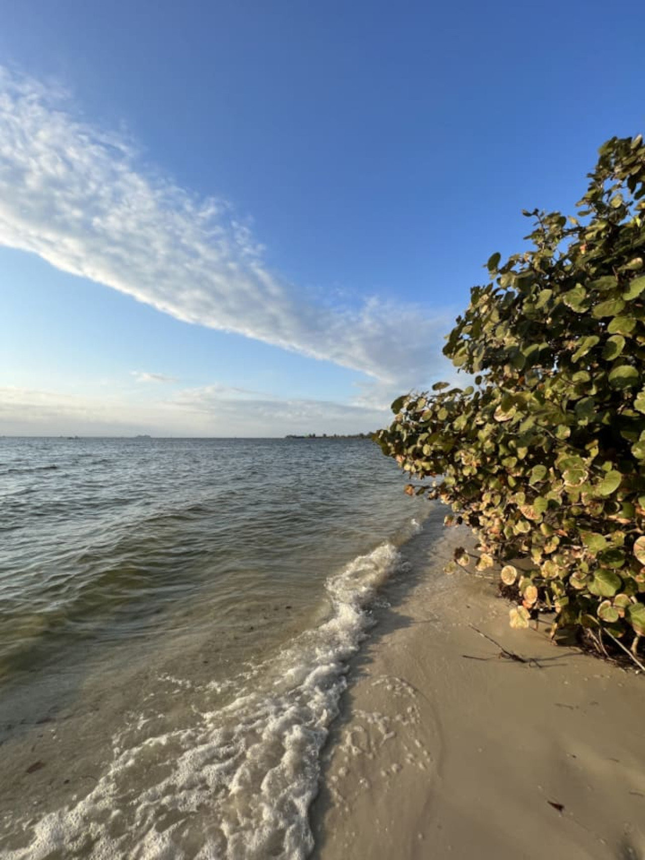 Ruskin Vacation Rental