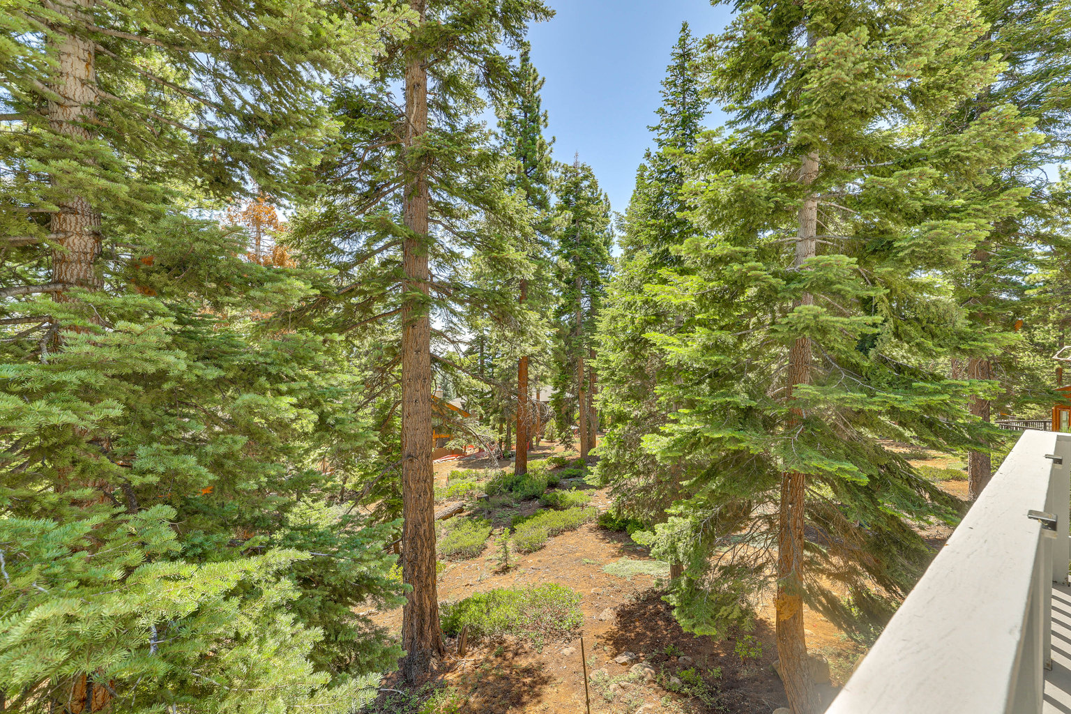Incline Village Vacation Rental