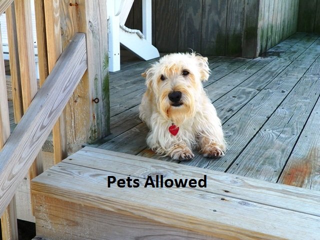 Kill Devil Hills Vacation Rental