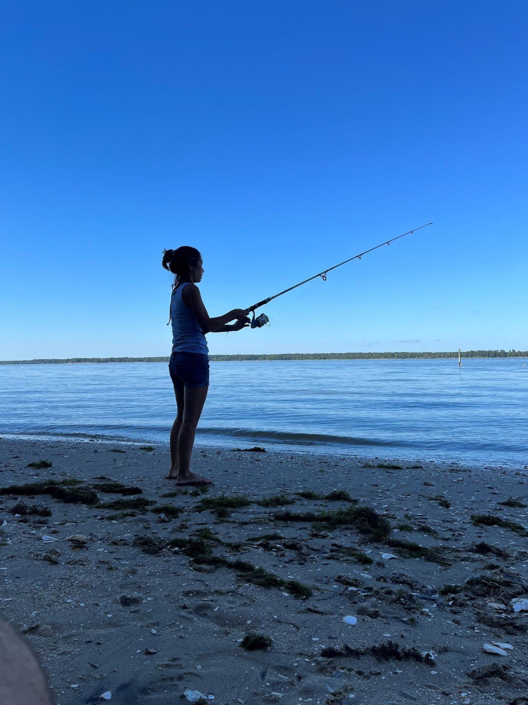 Surry Vacation Rental