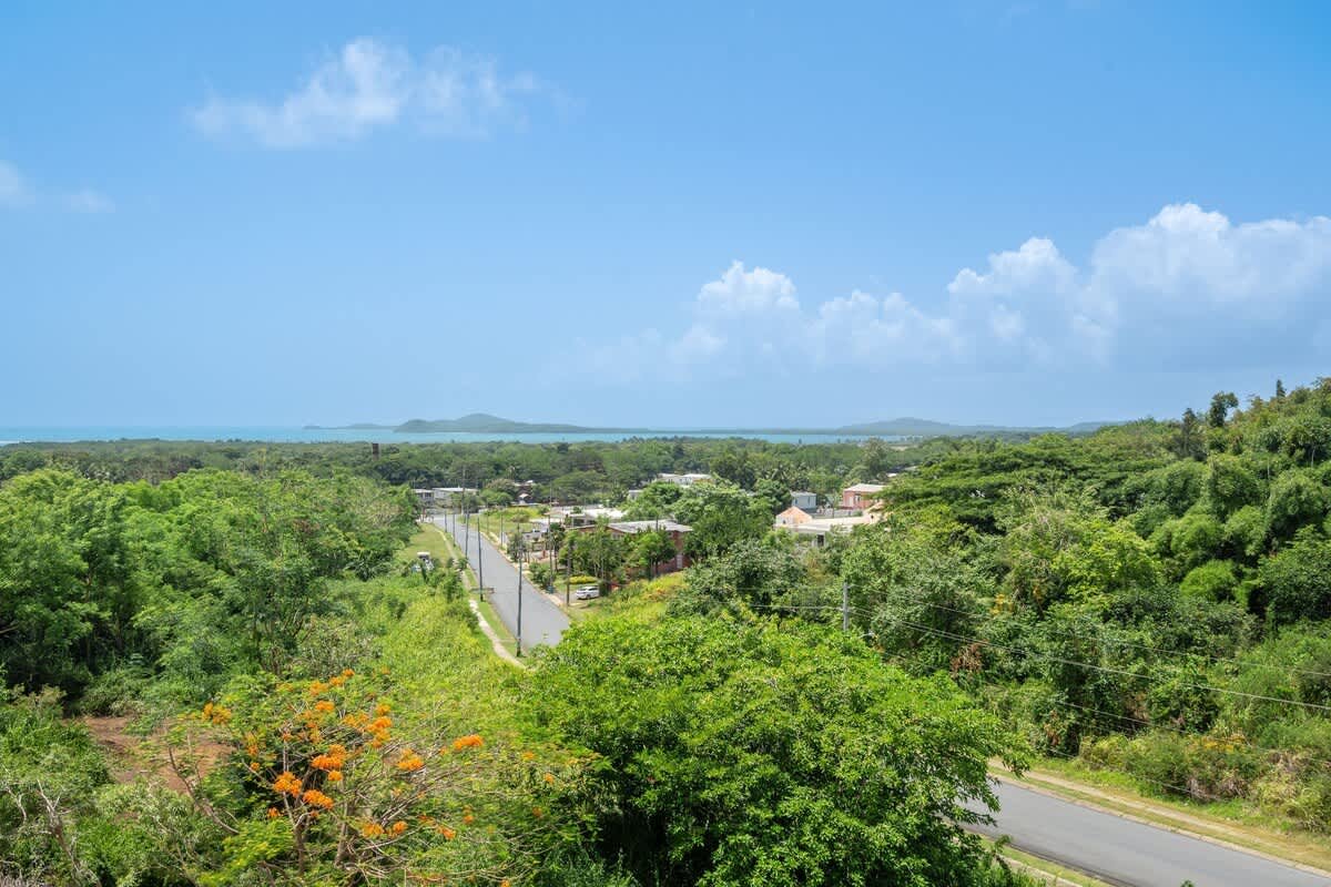 Ceiba Vacation Rental
