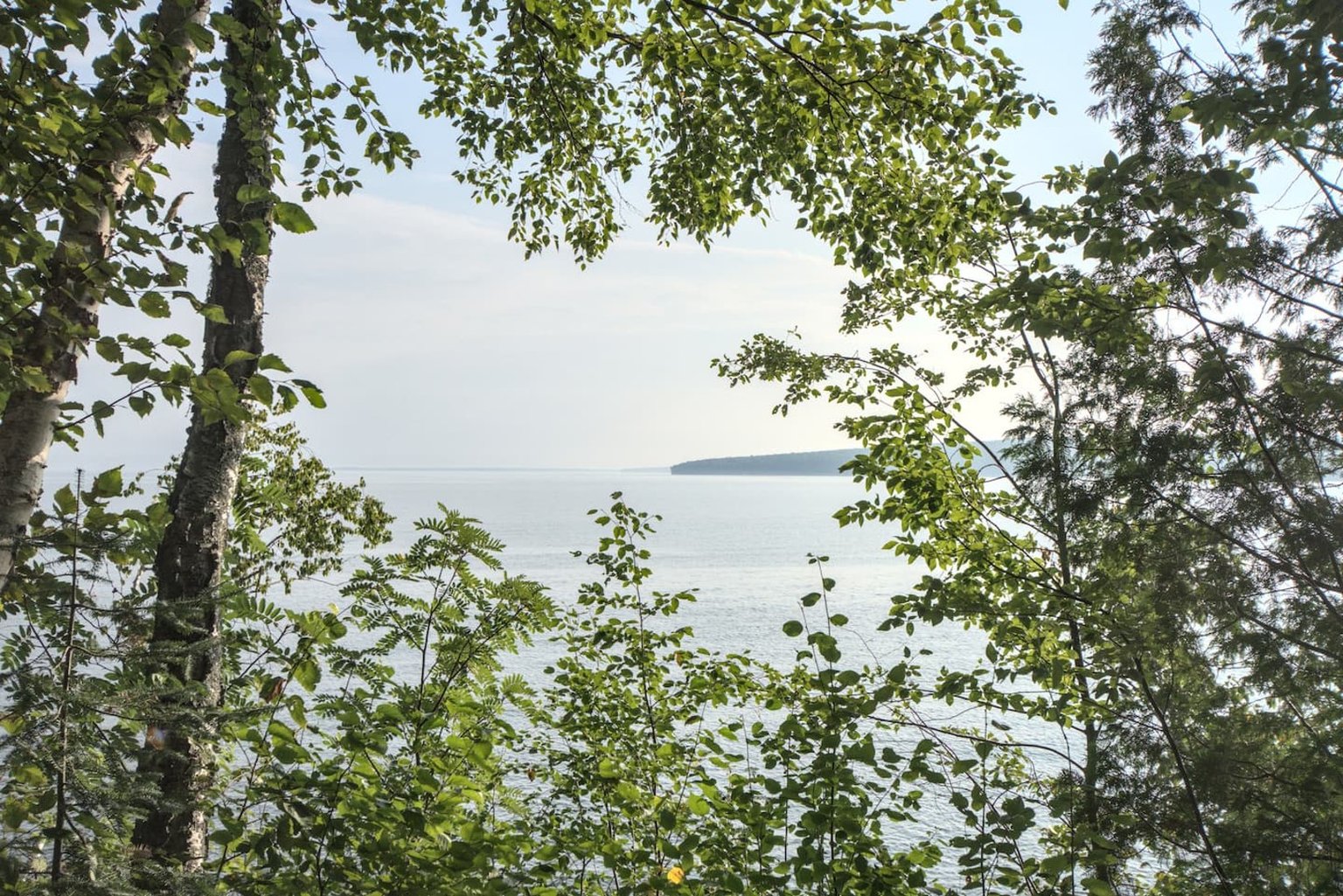 Cornucopia Vacation Rental