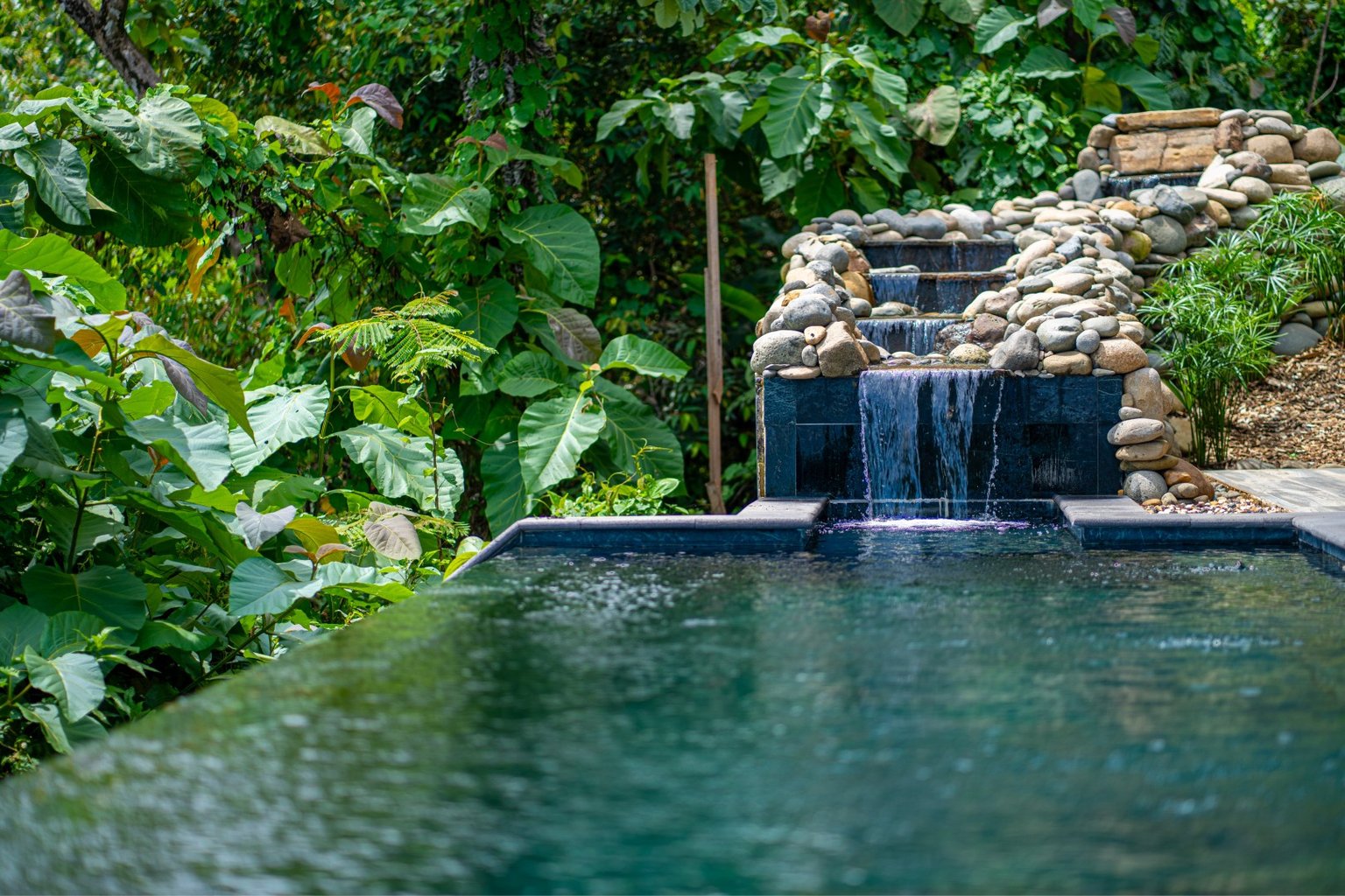 Matapalo Vacation Rental