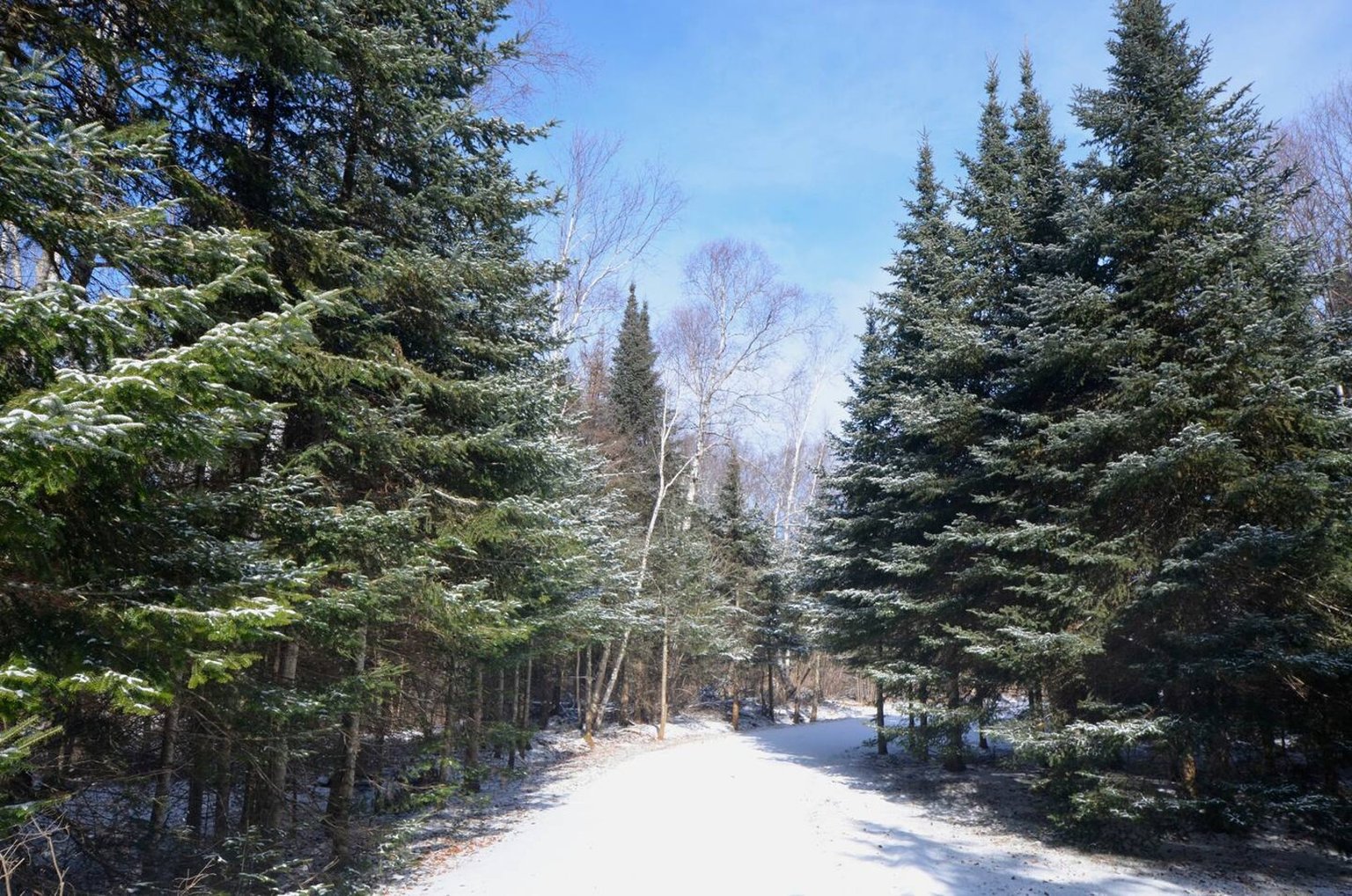 Herbster Vacation Rental