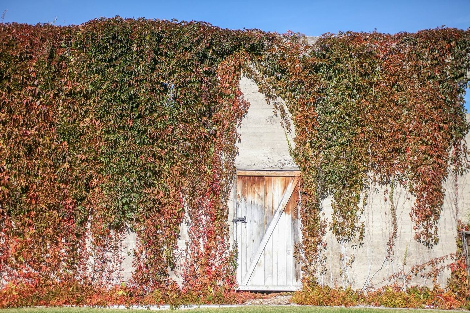 Livingston Vacation Rental