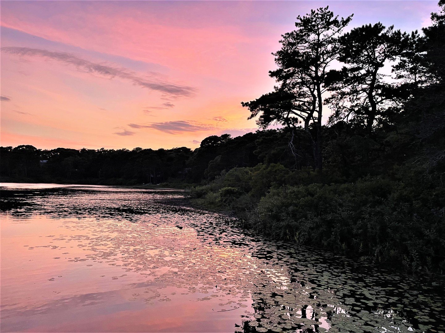 Eastham Vacation Rental