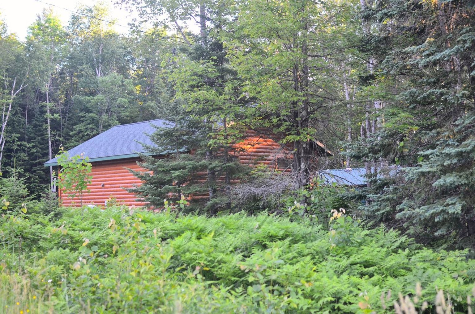 Cornucopia Vacation Rental