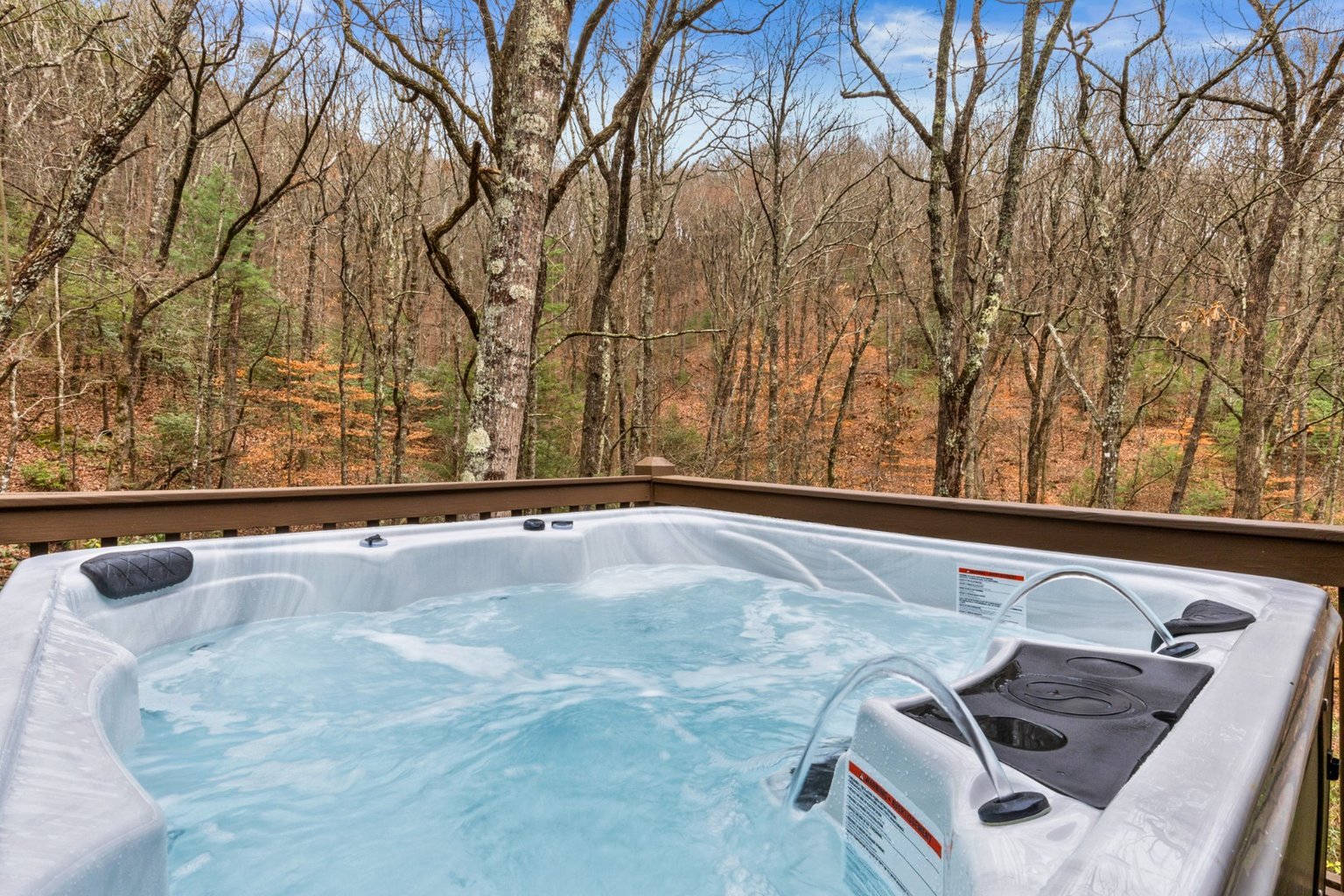 Blue Ridge Vacation Rental