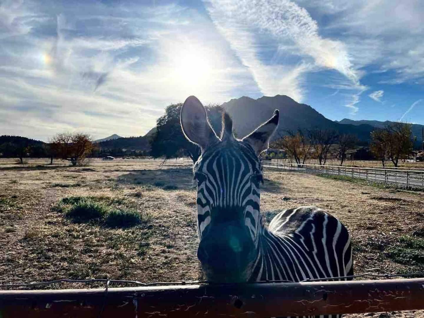 Prescott Vacation Rental