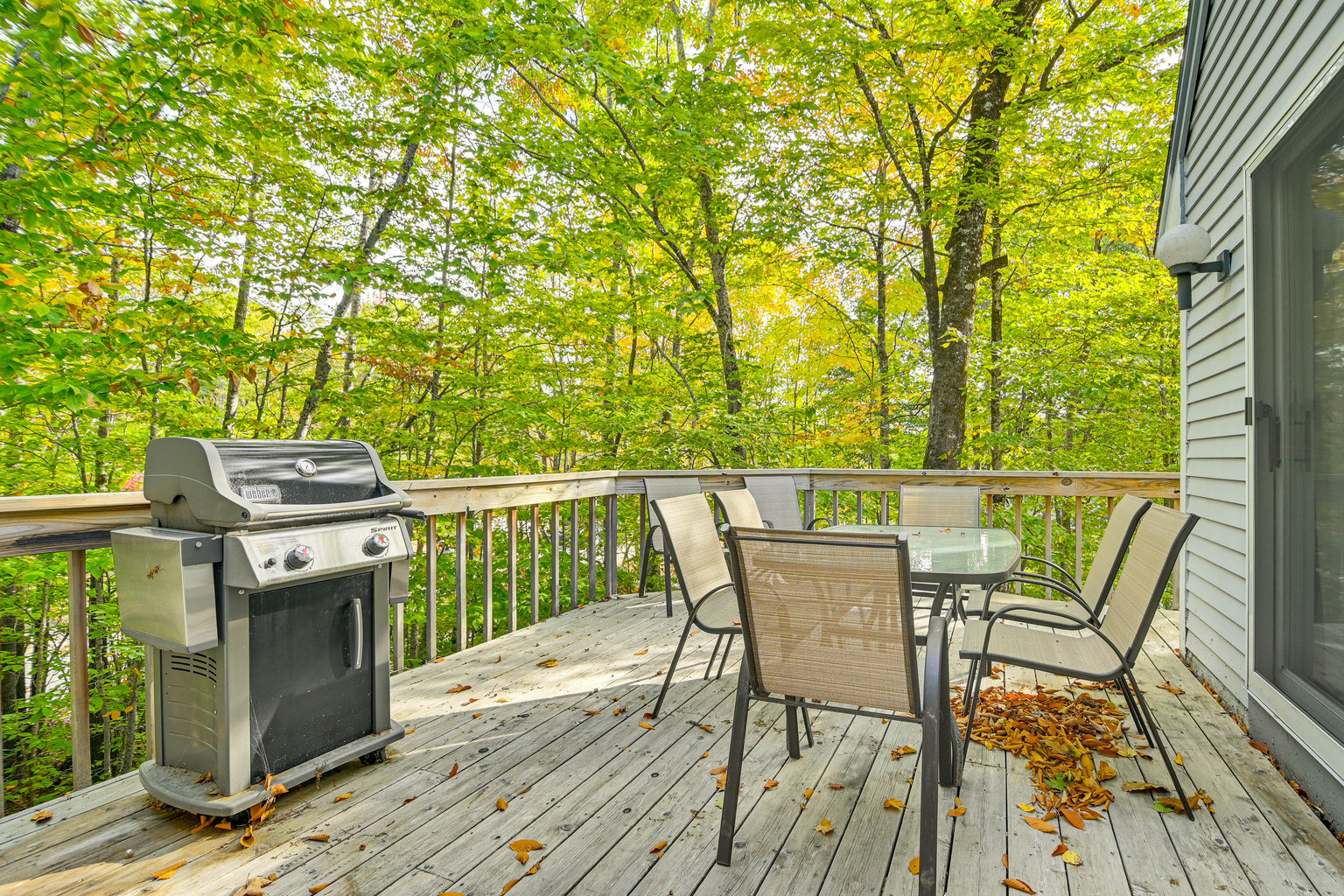 Bartlett Vacation Rental