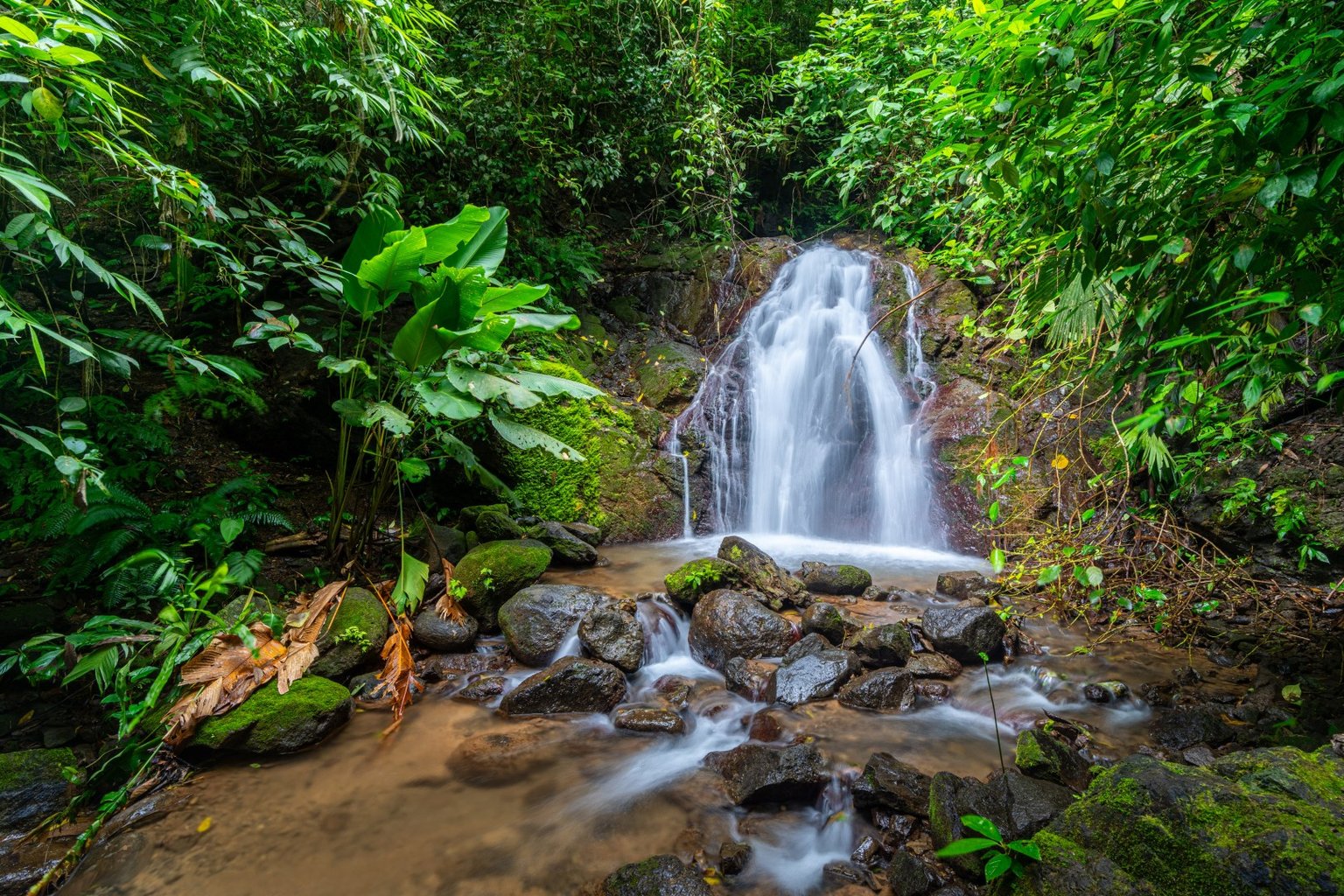 Matapalo Vacation Rental