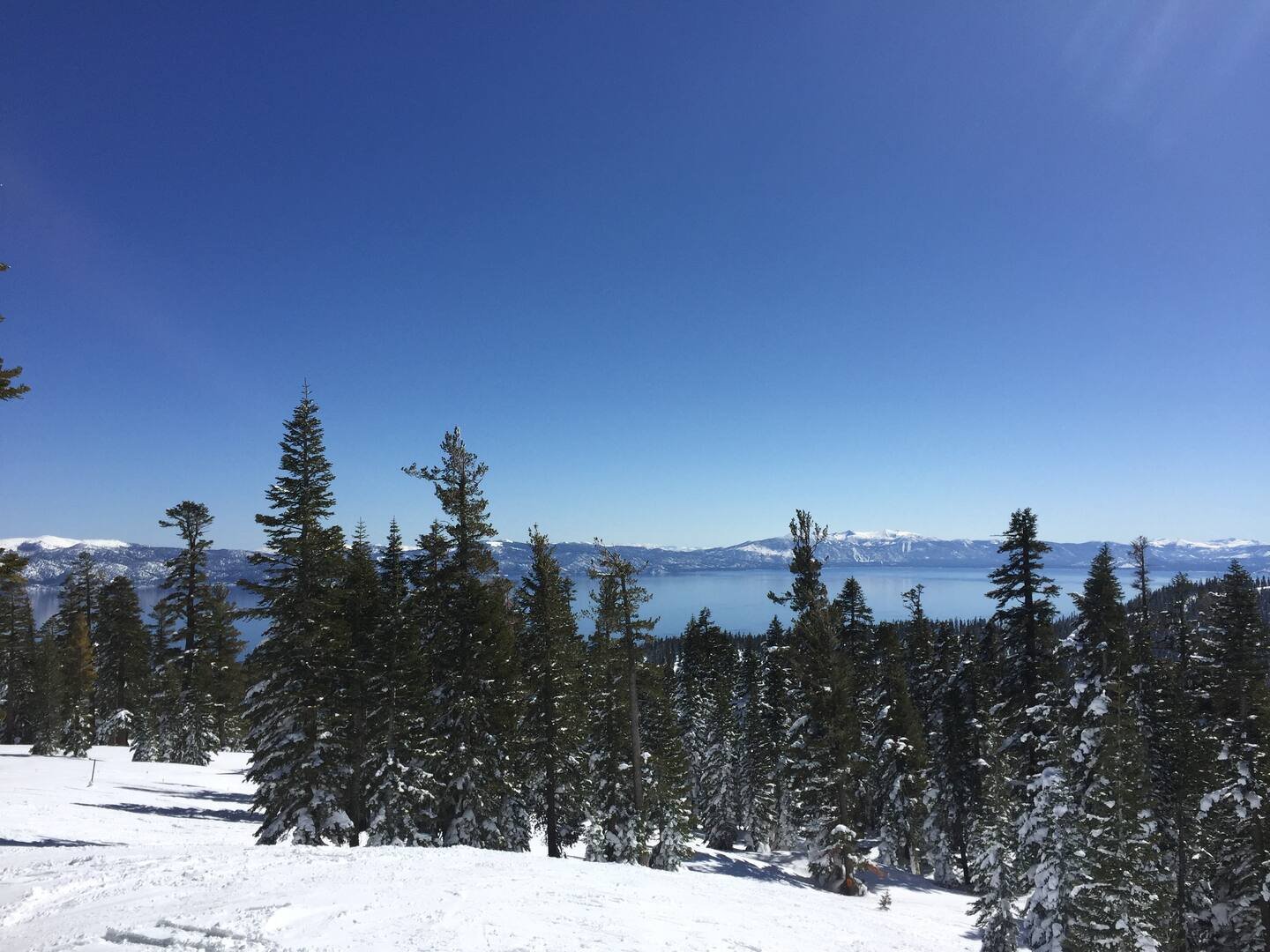 Truckee Vacation Rental