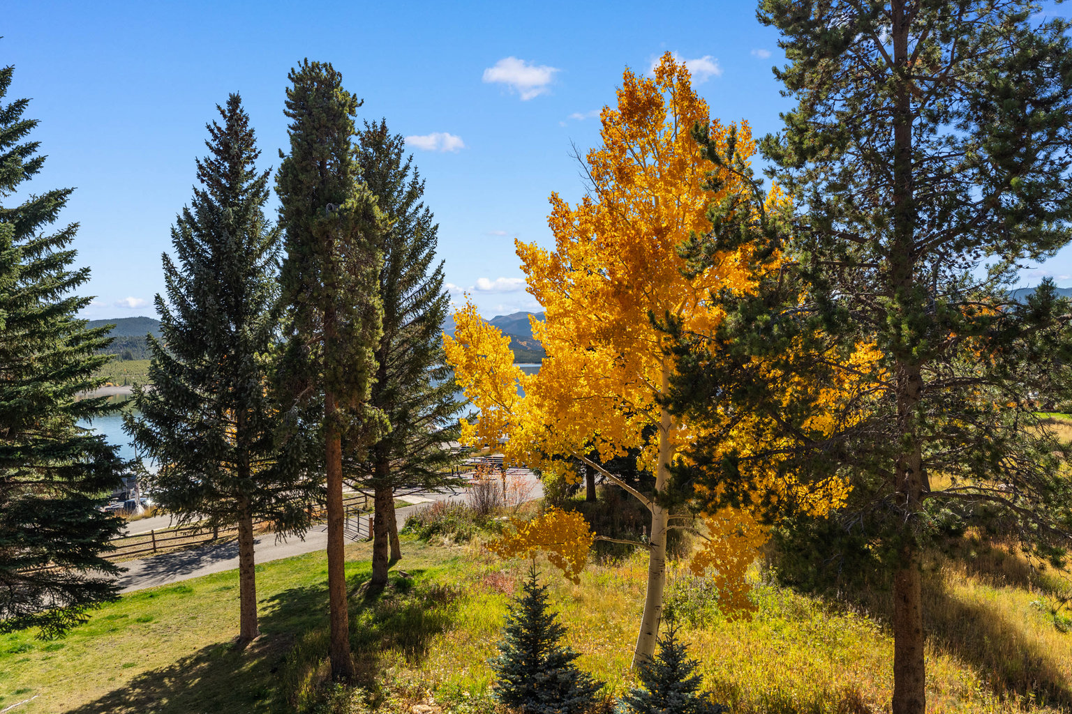 Dillon Vacation Rental