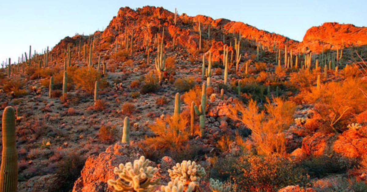 Tempe Vacation Rental