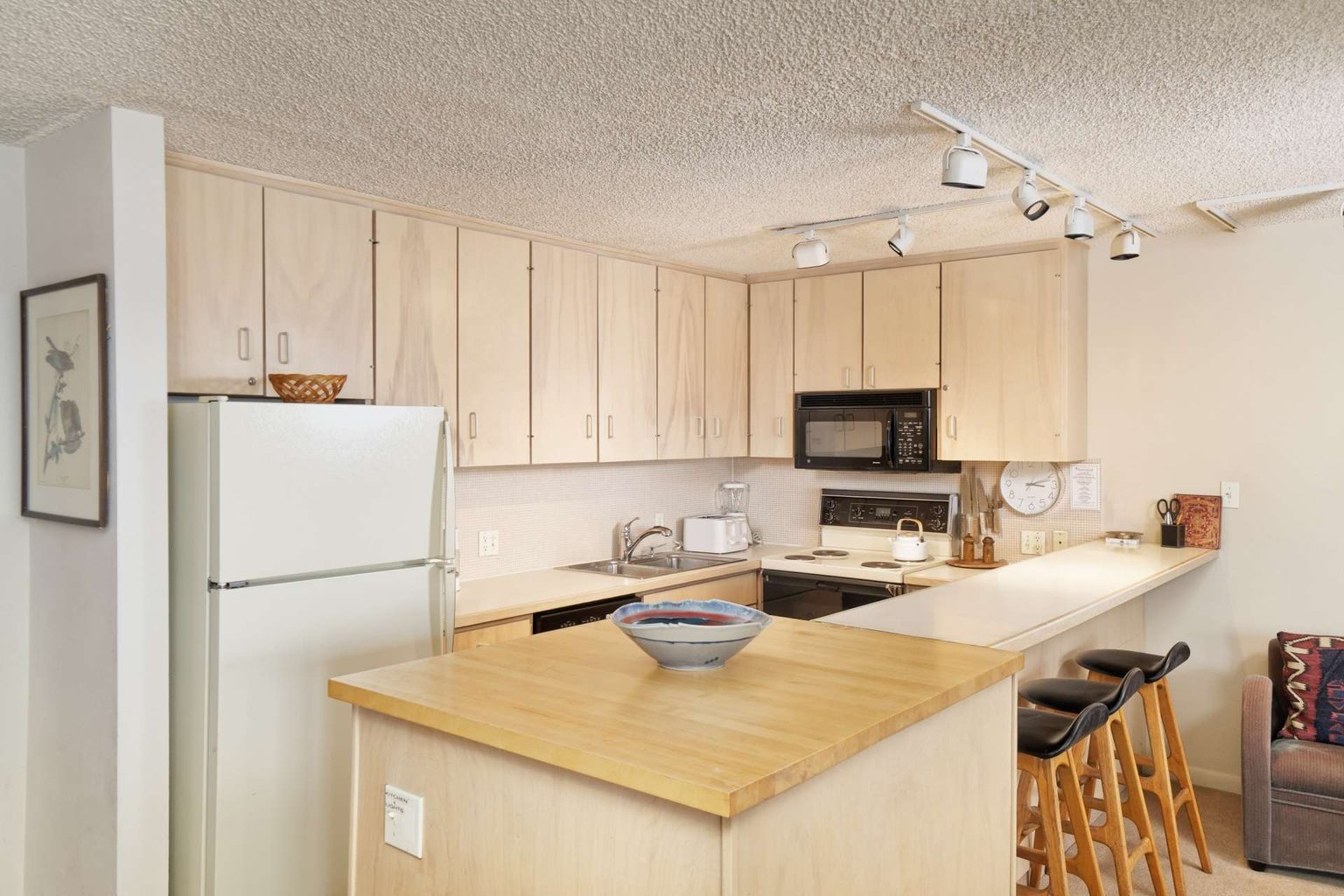 Snowmass Village Vacation Rental