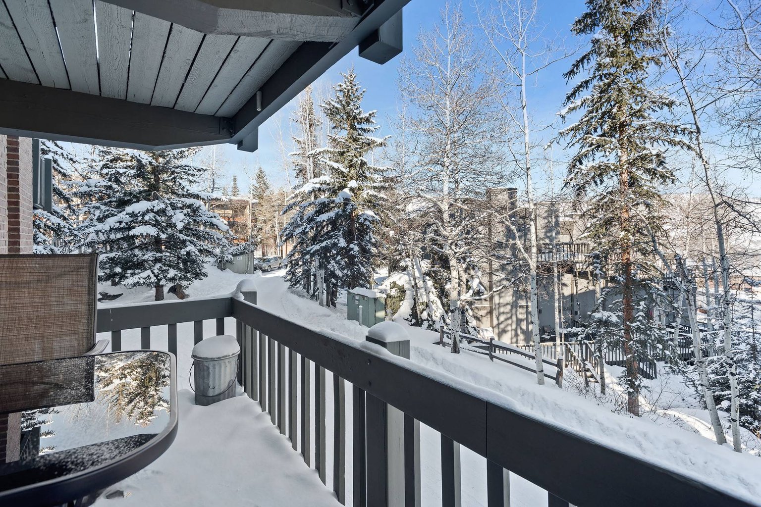 Snowmass Village Vacation Rental
