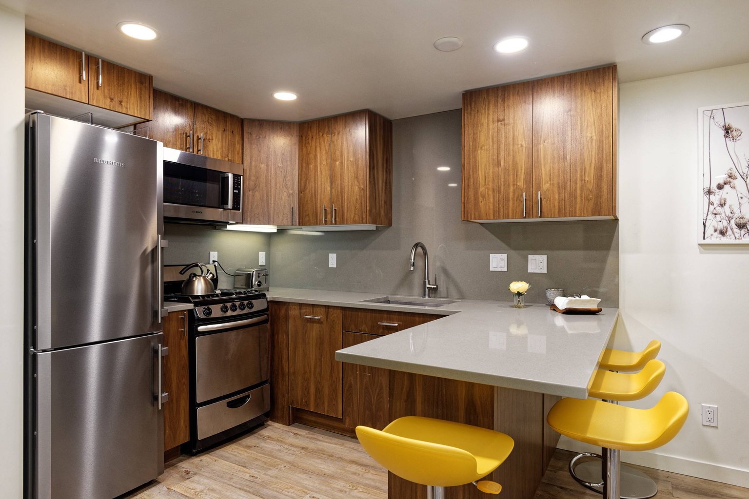 Aspen Vacation Rental